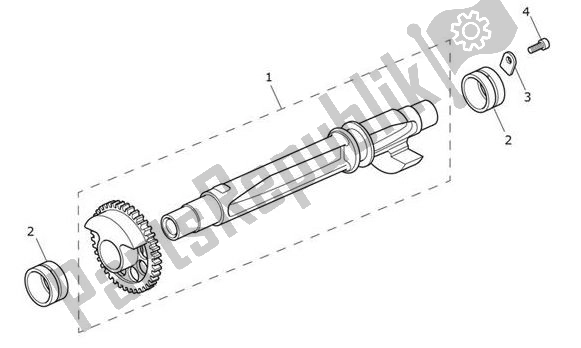 All parts for the Balancer Shaft of the Triumph Speed Triple 1200 RS 1160 2021 - 2024