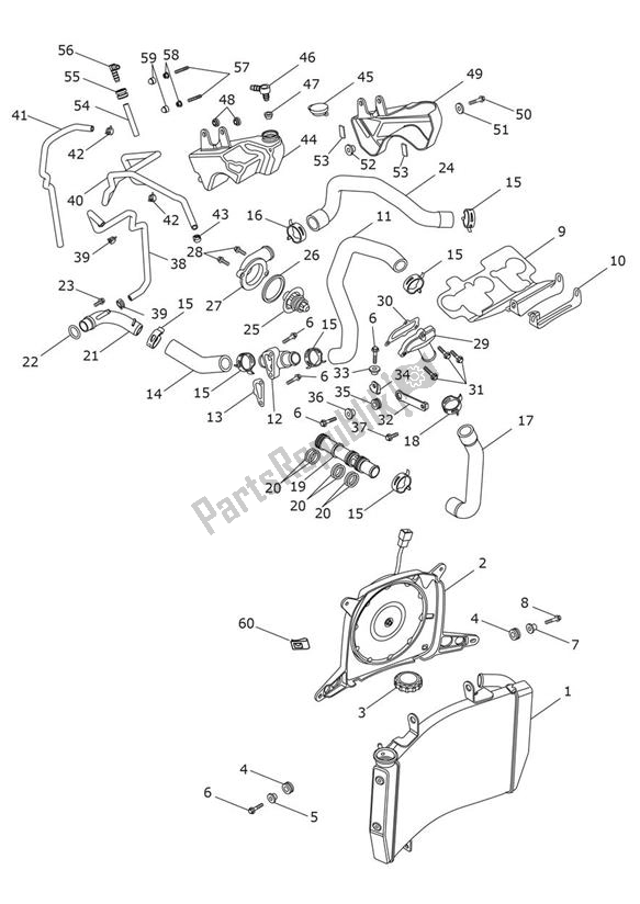 Todas as partes de Resfriamento do Triumph Street Triple S From VIN 803572-967906 765 2017 - 2020