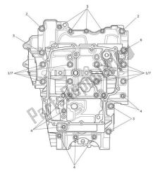 Crankcase Screws