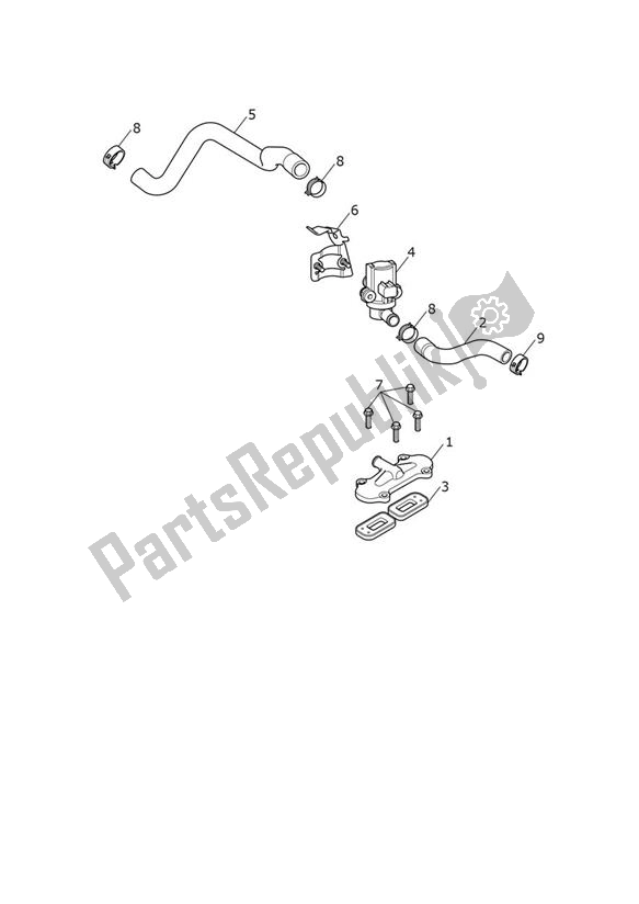 Wszystkie części do Kontrola Emisji Triumph Thruxton RS 1200 2020 - 2024