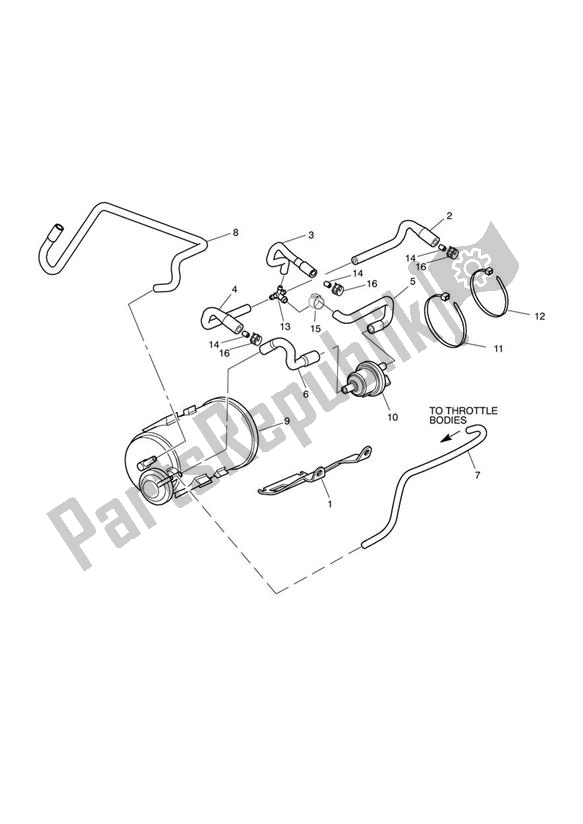 Todas las partes para Evap System de Triumph Speed Triple 1050 From VIN 461332 2005 - 2010