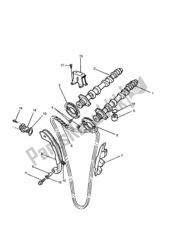 Toutes les pièces pour le Camshafts du Triumph Thunderbird 900 885 1995 - 2004