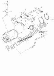 evaporative loss control system - california only