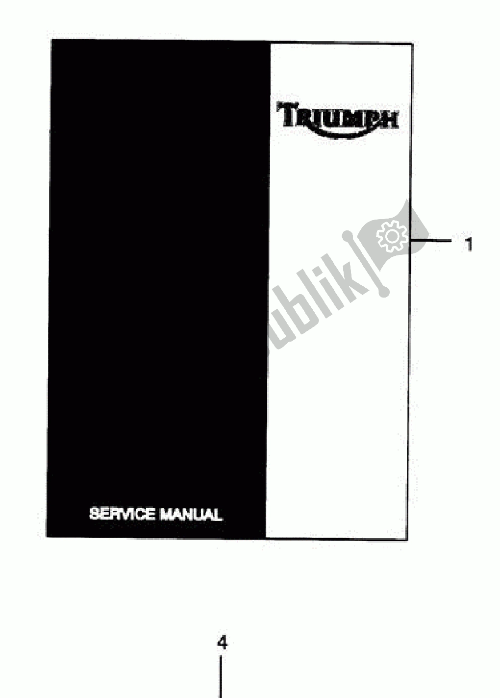 All parts for the Service Literature of the Triumph Speed Triple 1050 2008 - 2012