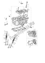 cylinder head & valves