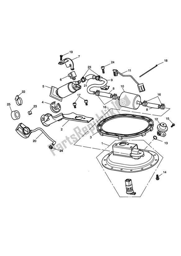 All parts for the Fuel Pump & Fittings of the Triumph America EFI 865 2007 - 2014