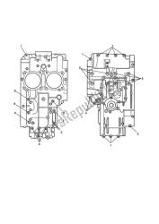 crankcase bolts