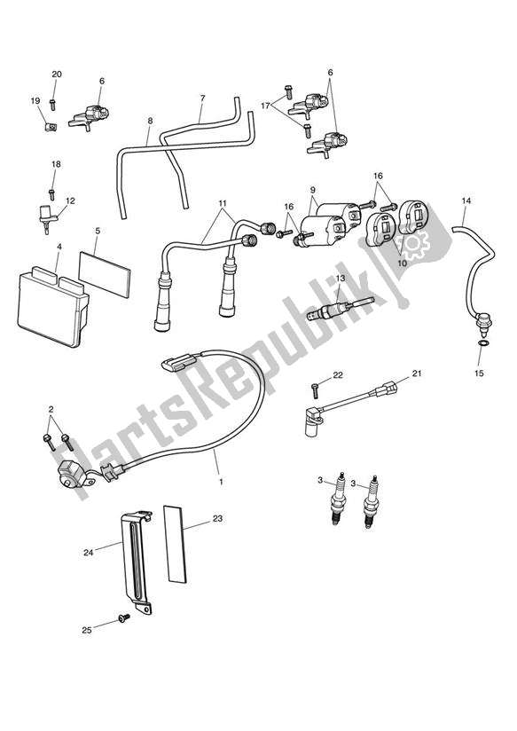 All parts for the Engine Management System of the Triumph America EFI 865 2007 - 2014