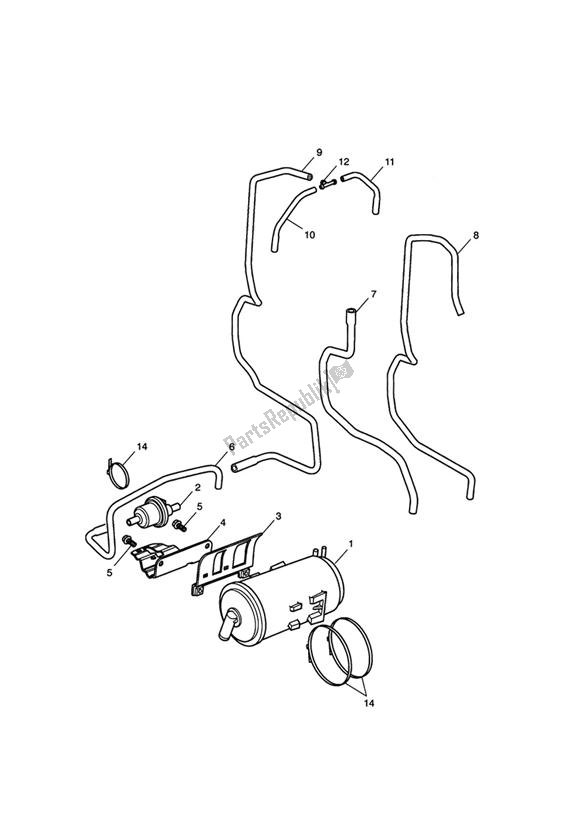 All parts for the Evaporative Loss Control System - California Only of the Triumph America EFI 865 2007 - 2014