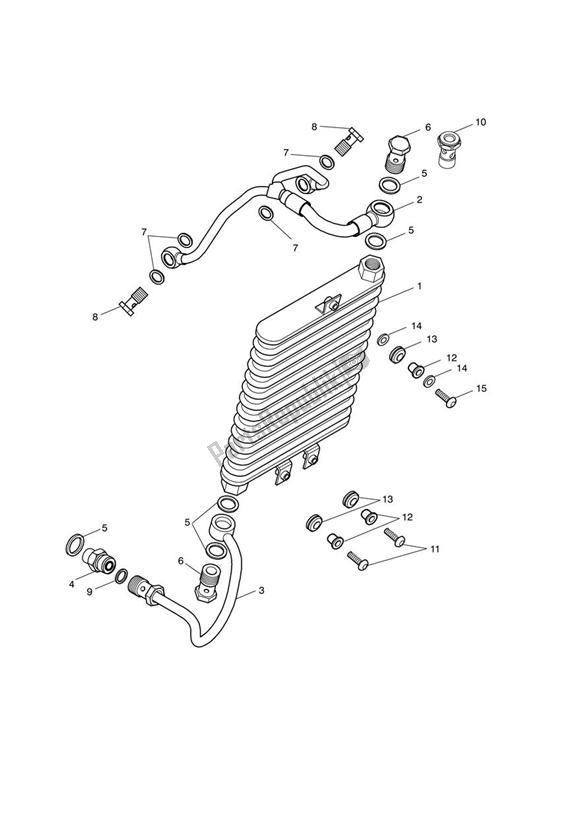 All parts for the Oil Cooler of the Triumph America EFI 865 2007 - 2014