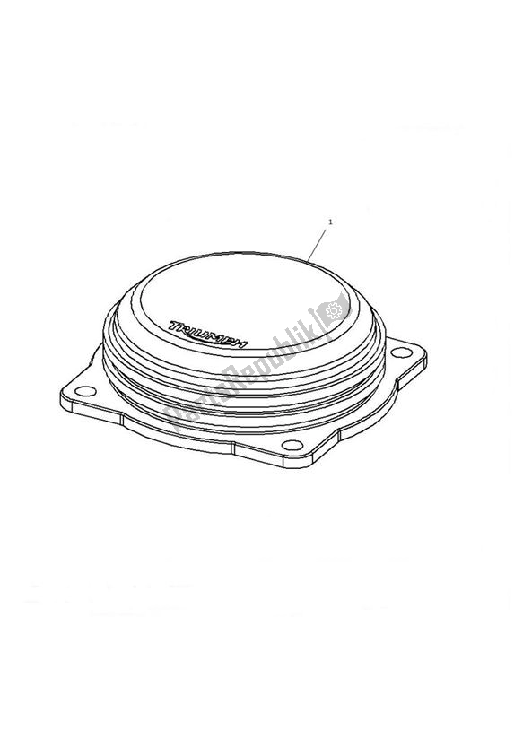 Todas las partes para Throttle Body Cap de Triumph America EFI 865 2007 - 2014