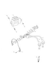 Ignition System - Bonneville T100