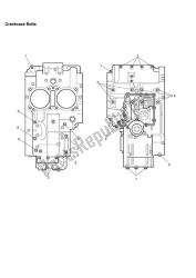 crankcase bolts