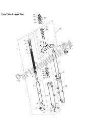 Front Forks & Lower Yoke