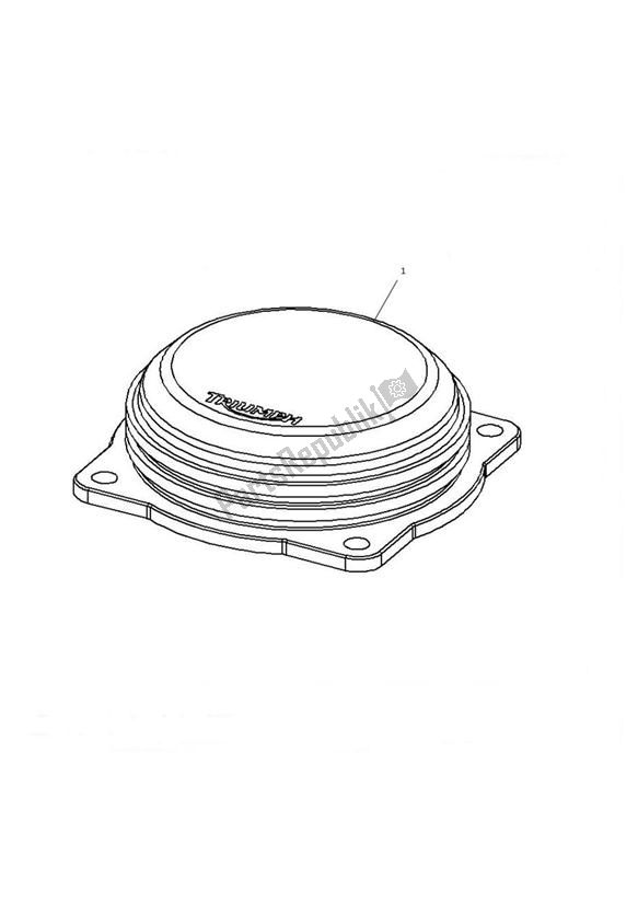 All parts for the Throttle Body Cap of the Triumph Bonneville T 100 EFI 865 2007 - 2010