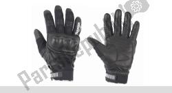 Edmonton Glove