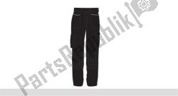 Workshop Pants