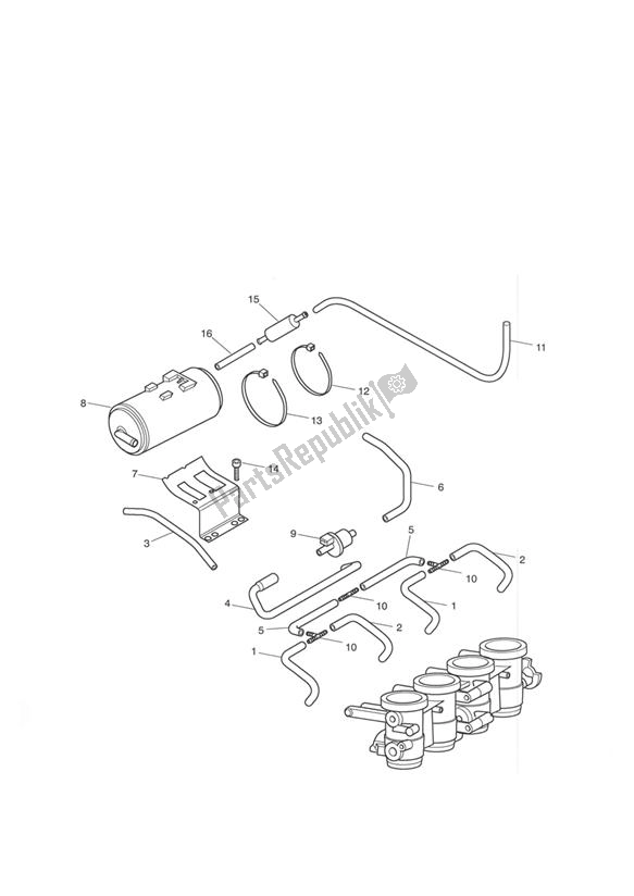 All parts for the Evaporative Loss Equipment California Only - Daytona 650 of the Triumph Daytona 600 & 650 2004 - 2008