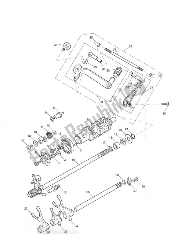 Todas las partes para Gear Selectors And Pedal - Daytona 650 de Triumph Daytona 600 & 650 2004 - 2008