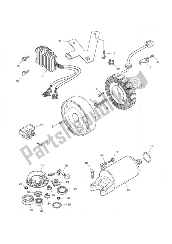 Todas las partes para Arrancador Y Alternador de Triumph Daytona 600 & 650 2004 - 2008