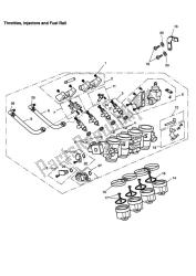 Throttles/injectors And Fuel Rails