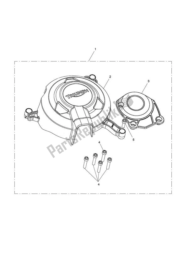 Alle onderdelen voor de Cover Protectors van de Triumph Daytona 675 VIN 564948 > 2013 - 2014