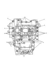 crankcase bolts