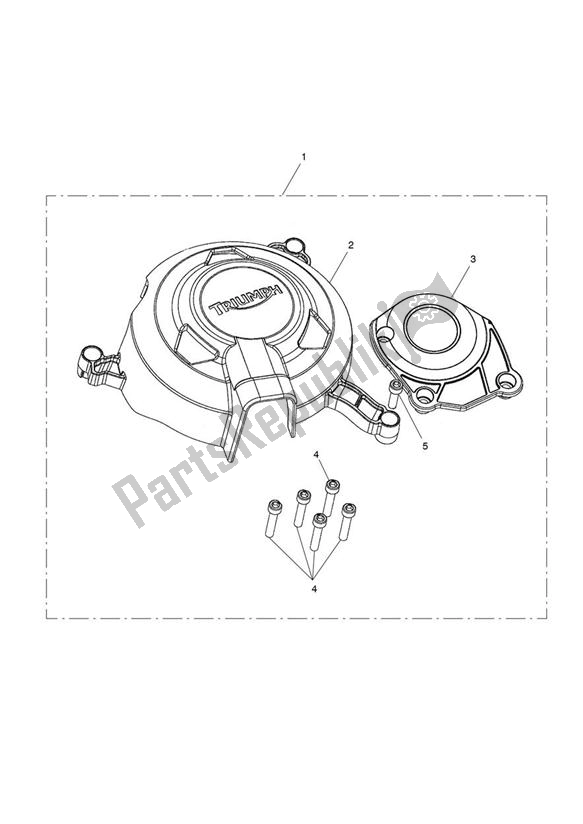 All parts for the Cover Protectors of the Triumph Daytona 675R VIN: > 564948 2013 - 2014