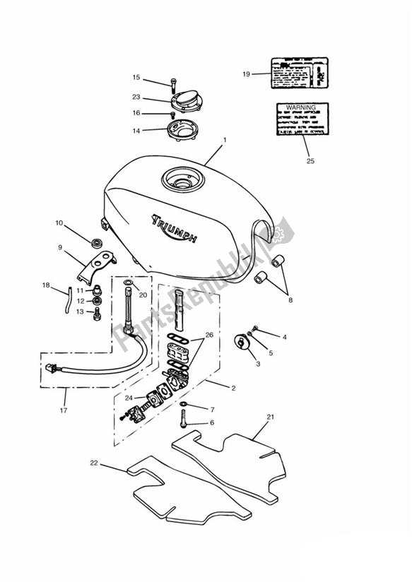 Todas las partes para Fuel Tank And Fittings de Triumph Daytona 750 & 1000 1992 - 1995