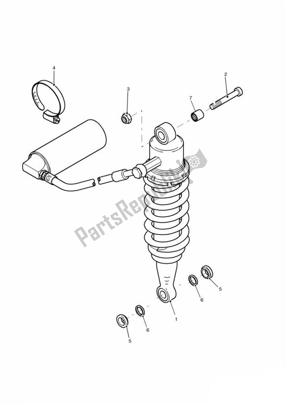 All parts for the Rear Suspension Unit Single Sided Swingarm of the Triumph Daytona 955I VIN: > 132513 2002 - 2005