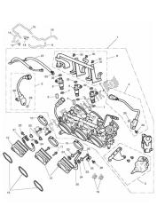 throttles, injectors and fuel rail