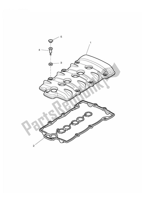 Todas las partes para Tapa De La Leva de Triumph Rocket III Touring 2300 2008 - 2013