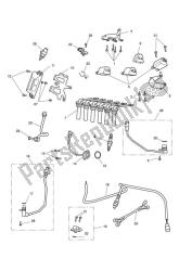 sistema de gestión del motor