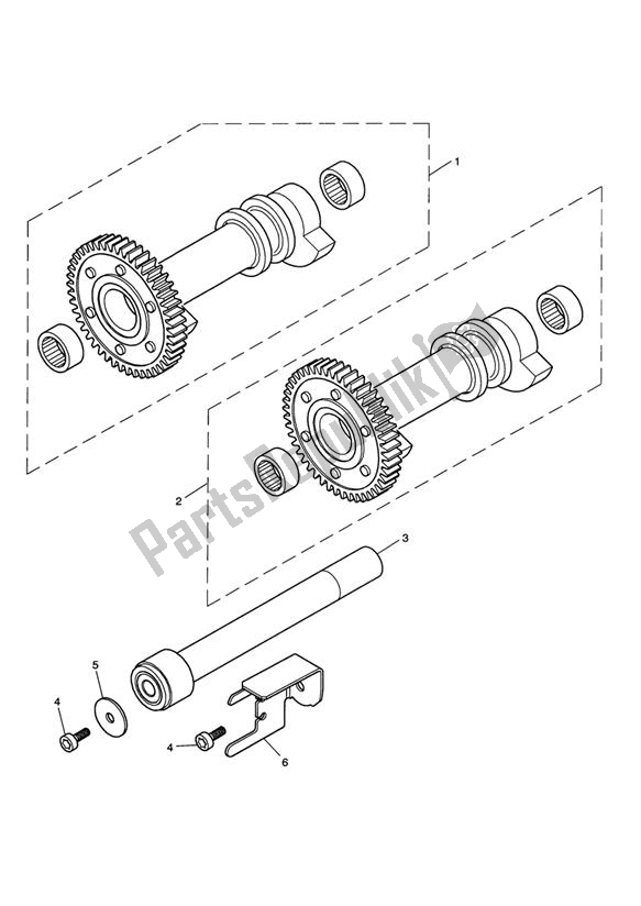 All parts for the Balancer of the Triumph Scrambler Carburettor 865 2006