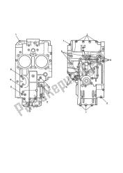 crankcase bolts