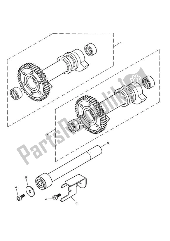 All parts for the Balancer of the Triumph Scrambler EFI 865 2007 - 2014