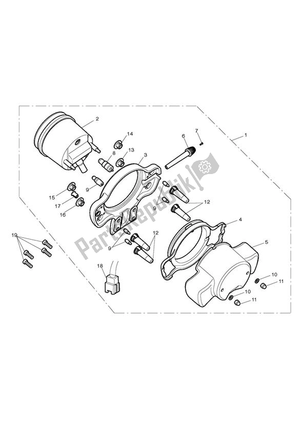 All parts for the Instruments > 447045 **see Tech News 118** of the Triumph Scrambler EFI 865 2007 - 2014