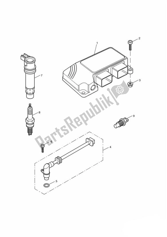 All parts for the Engine Management System of the Triumph Speed Four 600 2002 - 2005