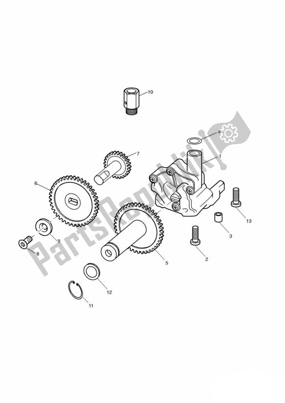 Alle onderdelen voor de Oil Pump/drive van de Triumph Speed Triple 885 / 955 EFI VIN: > 141871 1997 - 2001