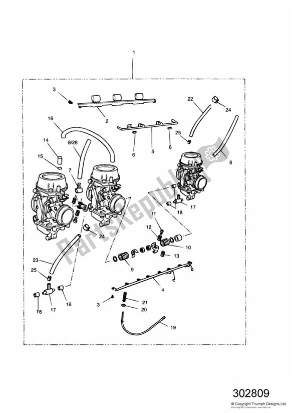 All parts for the Carburettors of the Triumph Speed Triple Carburettor 885 1992 - 1995