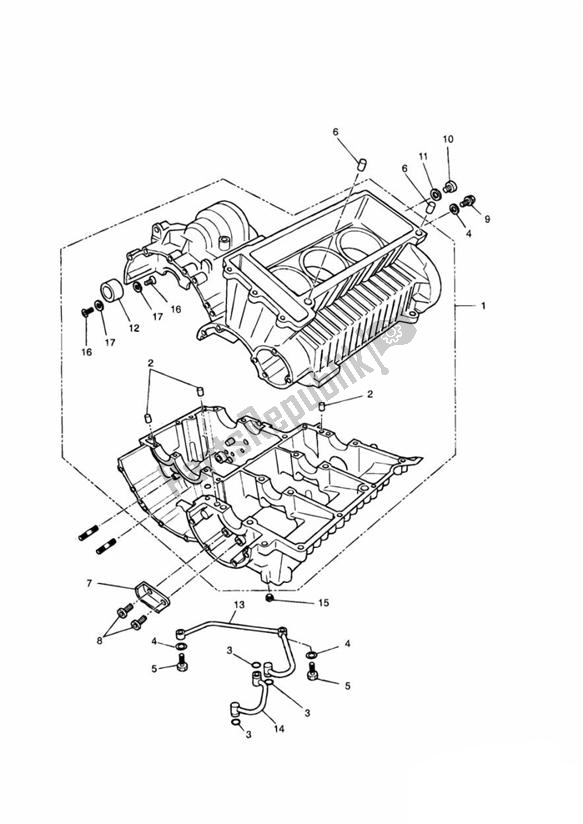 All parts for the Crankcase of the Triumph Speed Triple Carburettor 885 1992 - 1995