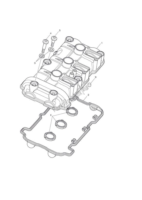 All parts for the Cam Cover of the Triumph Speed Triple R VIN: > 735336 1050 2012 - 2016