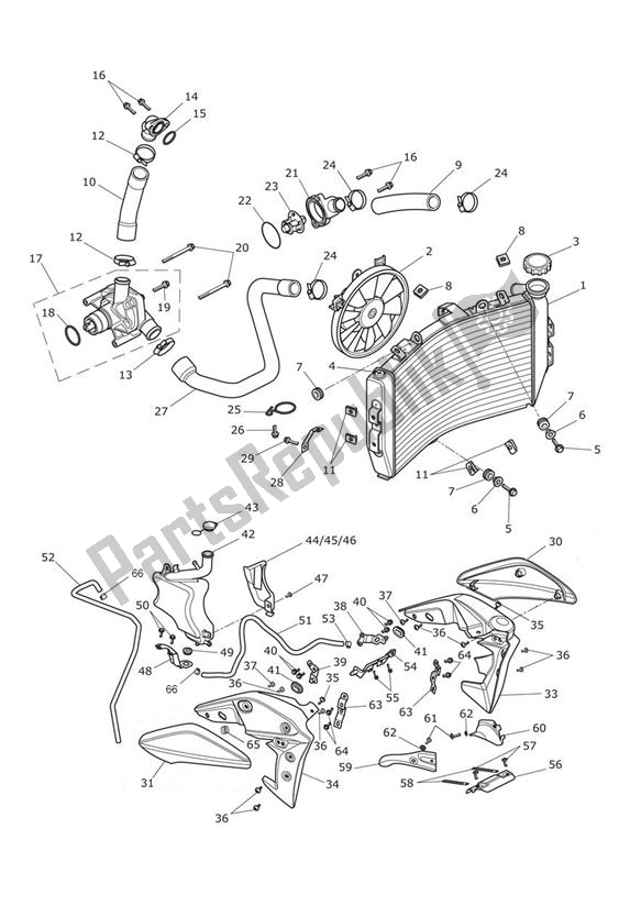 Todas las partes para Sistema De Refrigeración de Triumph Speed Triple R VIN: > 735336 1050 2012 - 2016