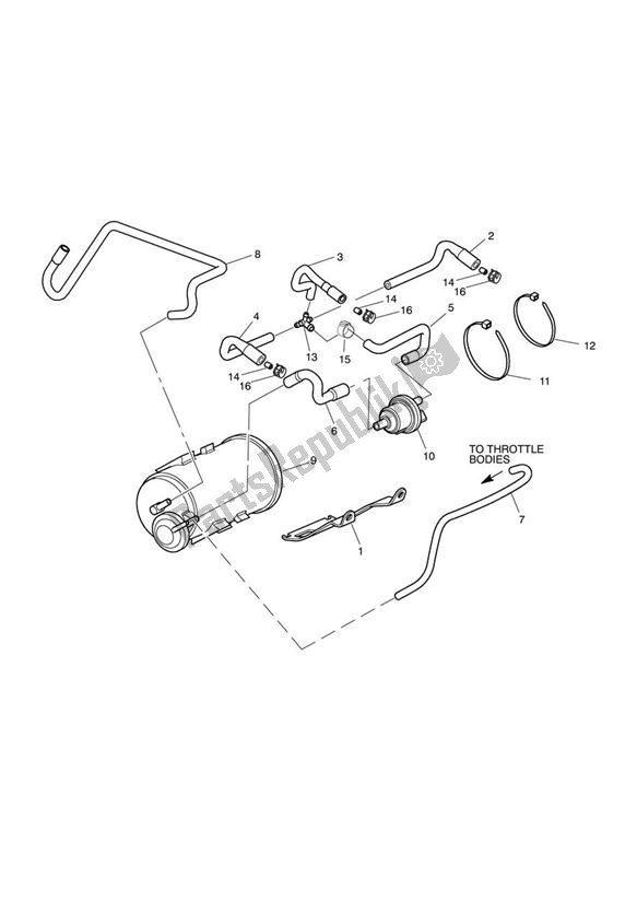 Tutte le parti per il Evaporative Loss Control System - Us Cal, Tw & Hk Only del Triumph Speed Triple R VIN: > 735336 1050 2012 - 2016