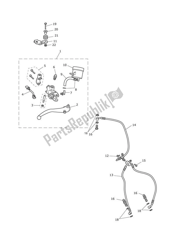 Todas las partes para Freno Delantero Cilindro Maestro Y Mangueras de Triumph Speed Triple R VIN: > 735336 1050 2012 - 2016