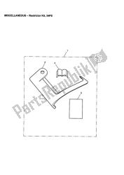 Restrictor Kit, 34ps