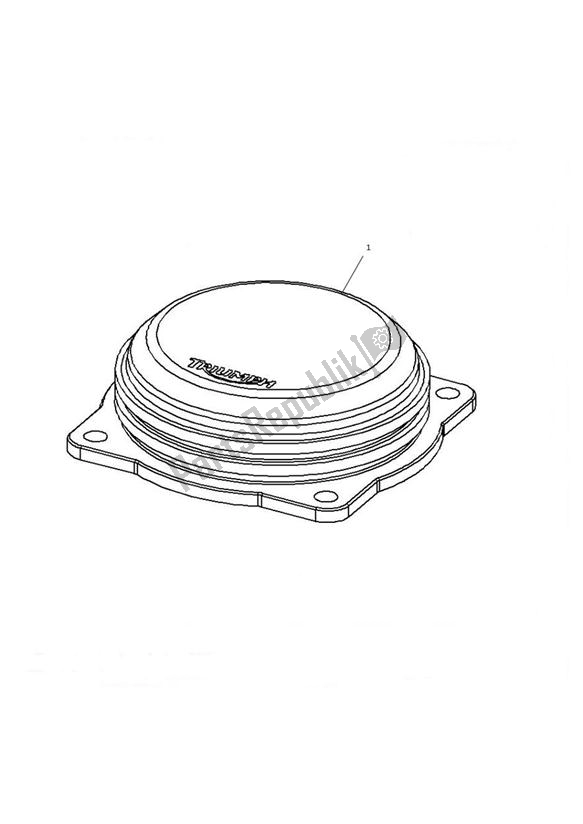 Tutte le parti per il Throttle Body Cap del Triumph Speedmaster EFI 865 2007 - 2014