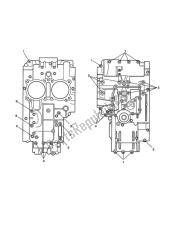 crankcase bolts