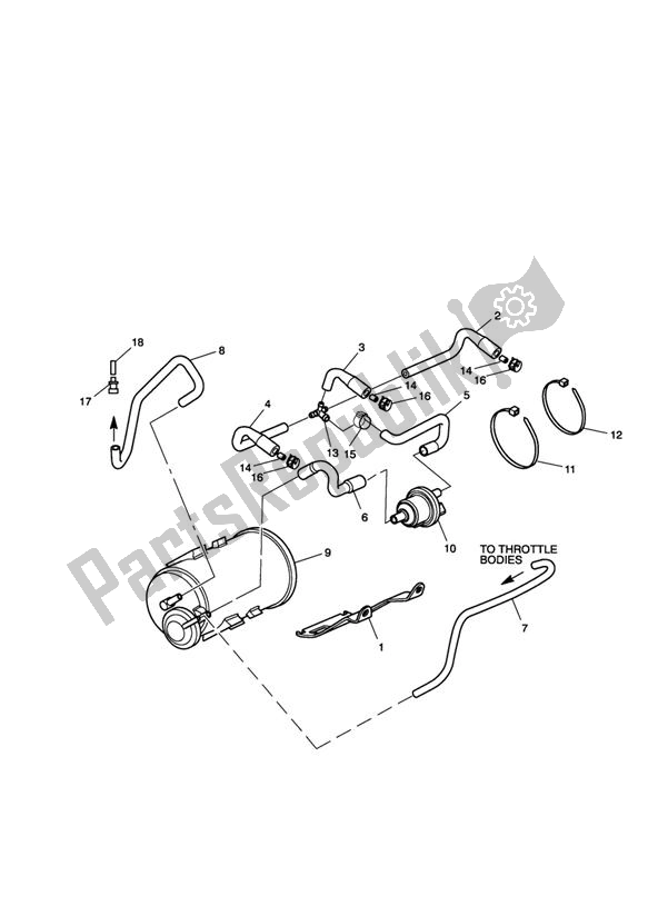 Todas las partes para Sistema De Control De Pérdida Por Evaporación - Solo California de Triumph Sprint GT 1050 2011 - 2013