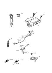 sistema de gestão do motor